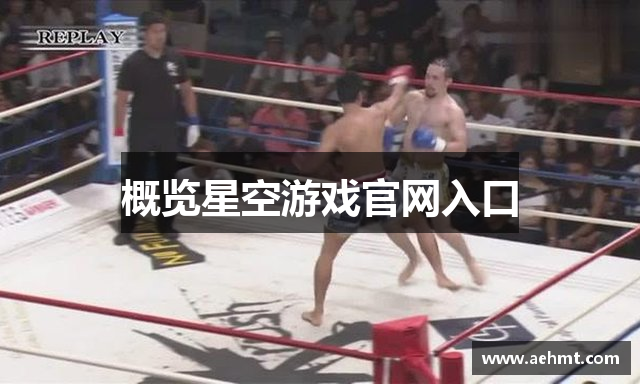 概览星空游戏官网入口